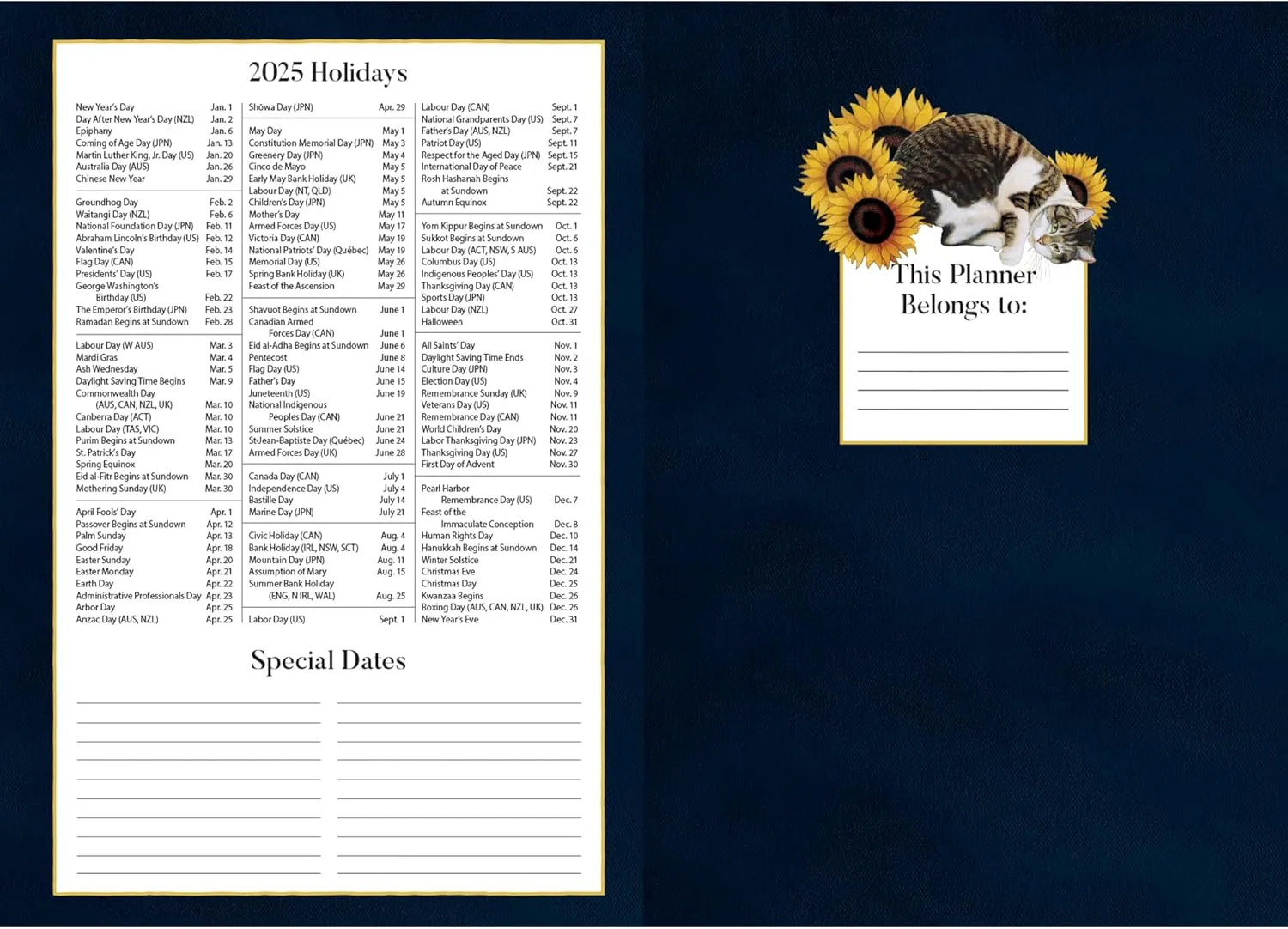 2025 Lang Monthly Pocket Planner - American Cat