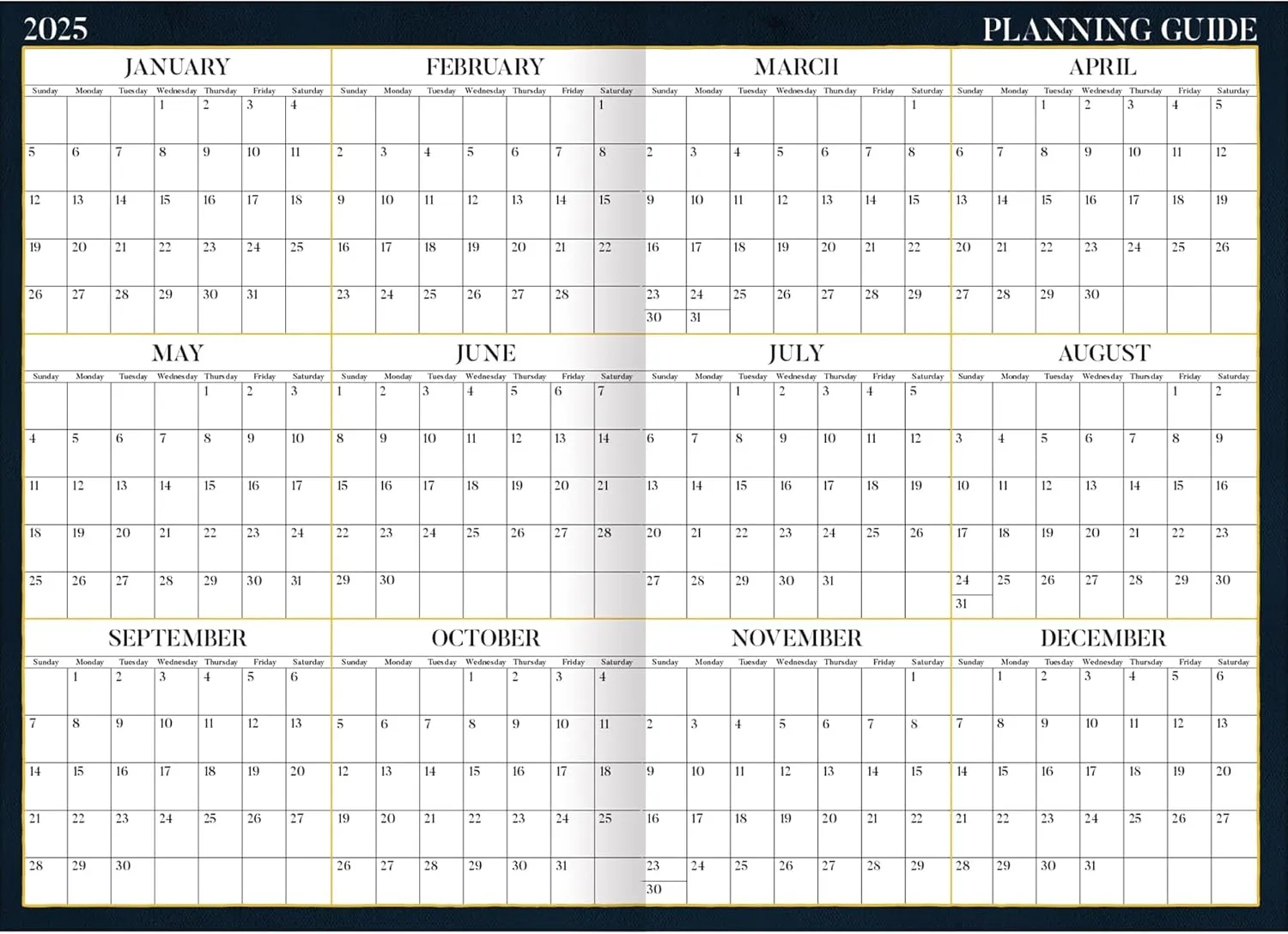 2025 Lang Monthly Pocket Planner - American Cat