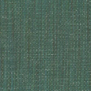 4345-12 Jordan - Blue  Iguana