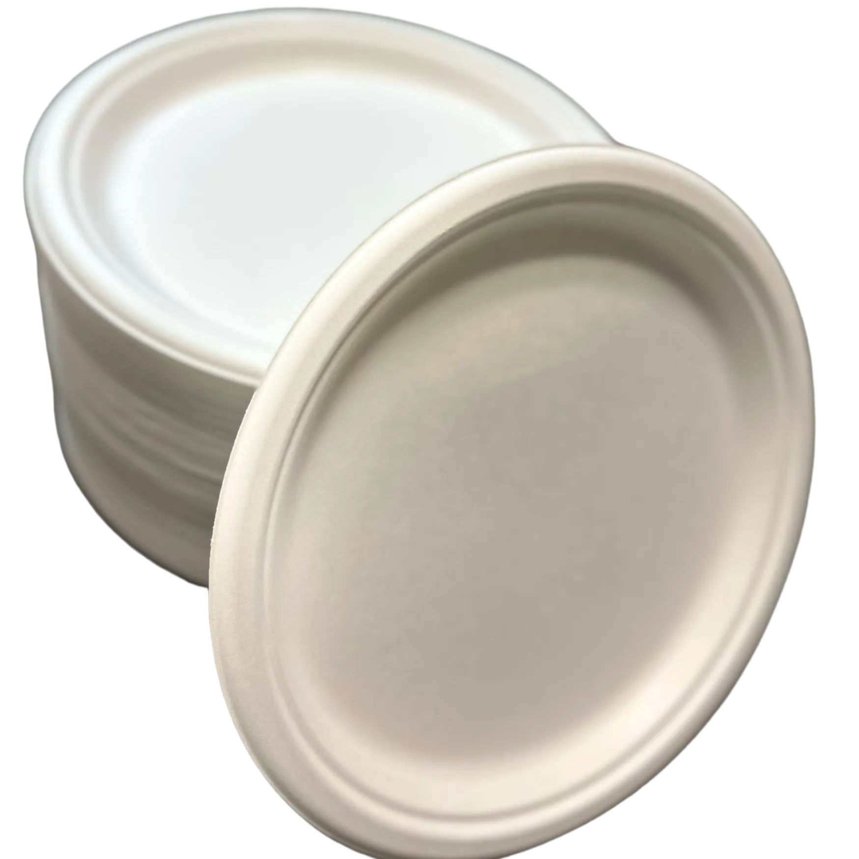 9" ECO BIODEGRADABLE COMPOSTABLE BAMBOO PLATES 1 COMPARTMENT 500CT