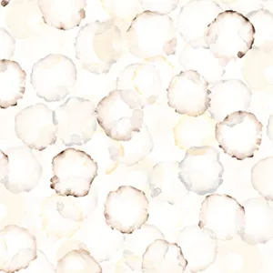 Amy-Marsh Oyster 0021