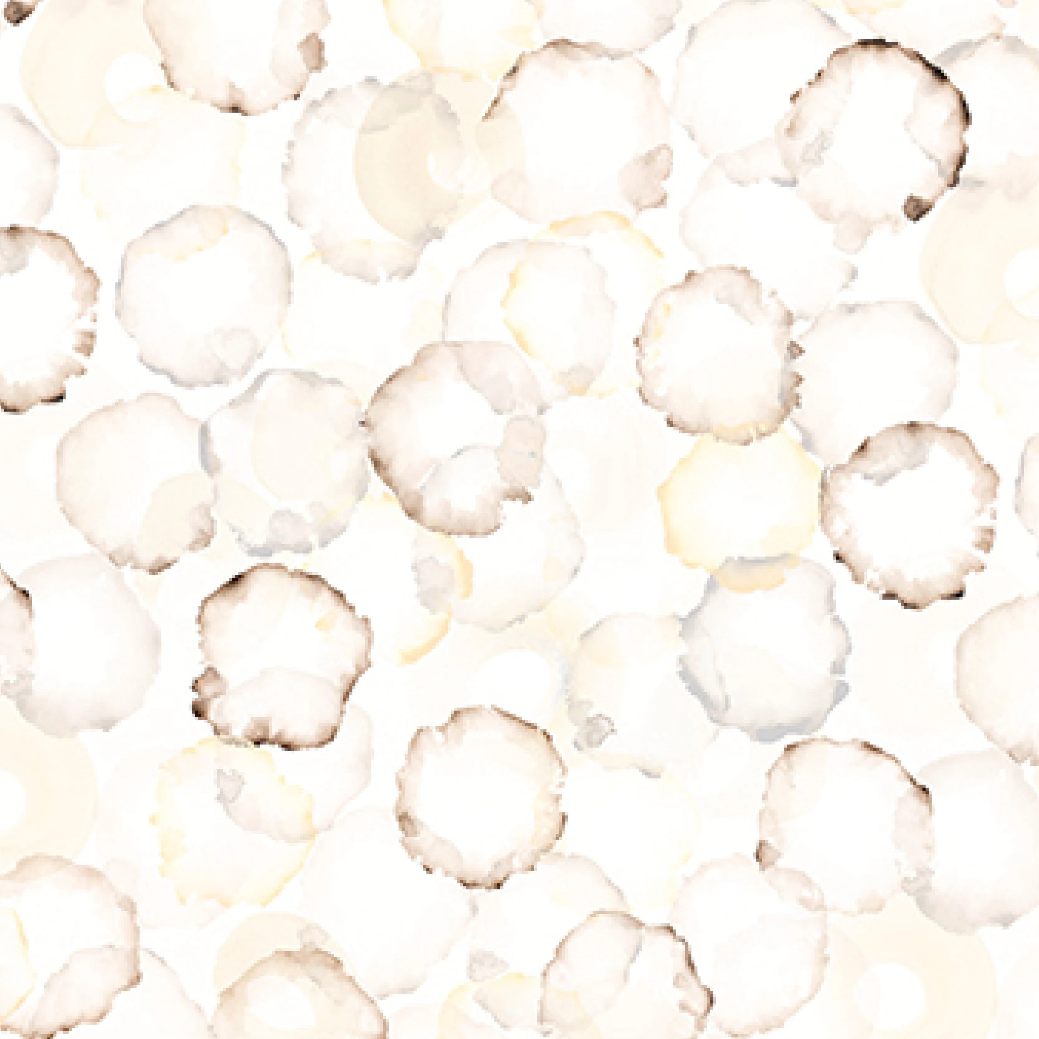 Amy-Marsh Oyster 0021