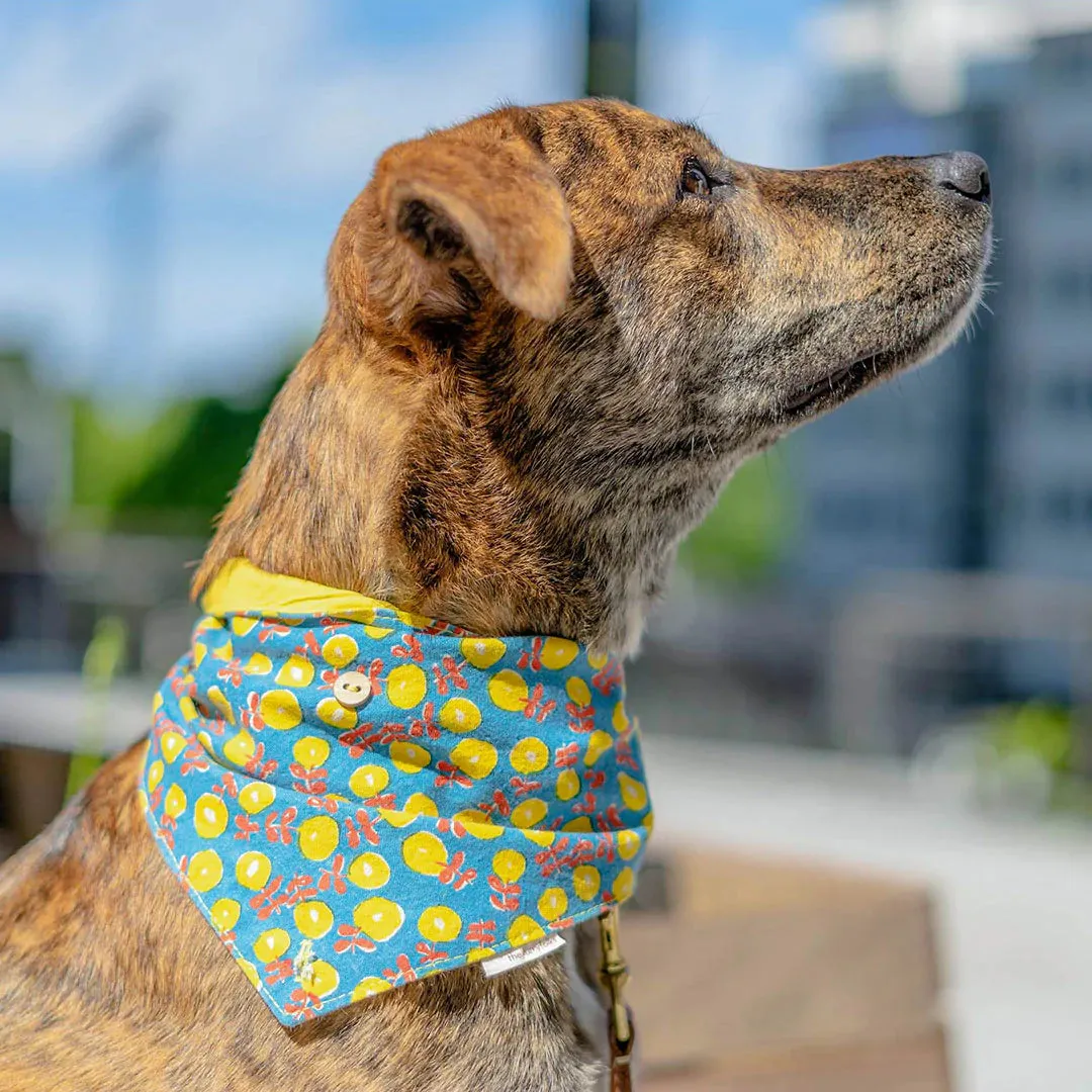 Bandana