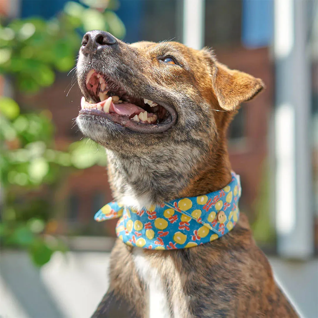 Bandana