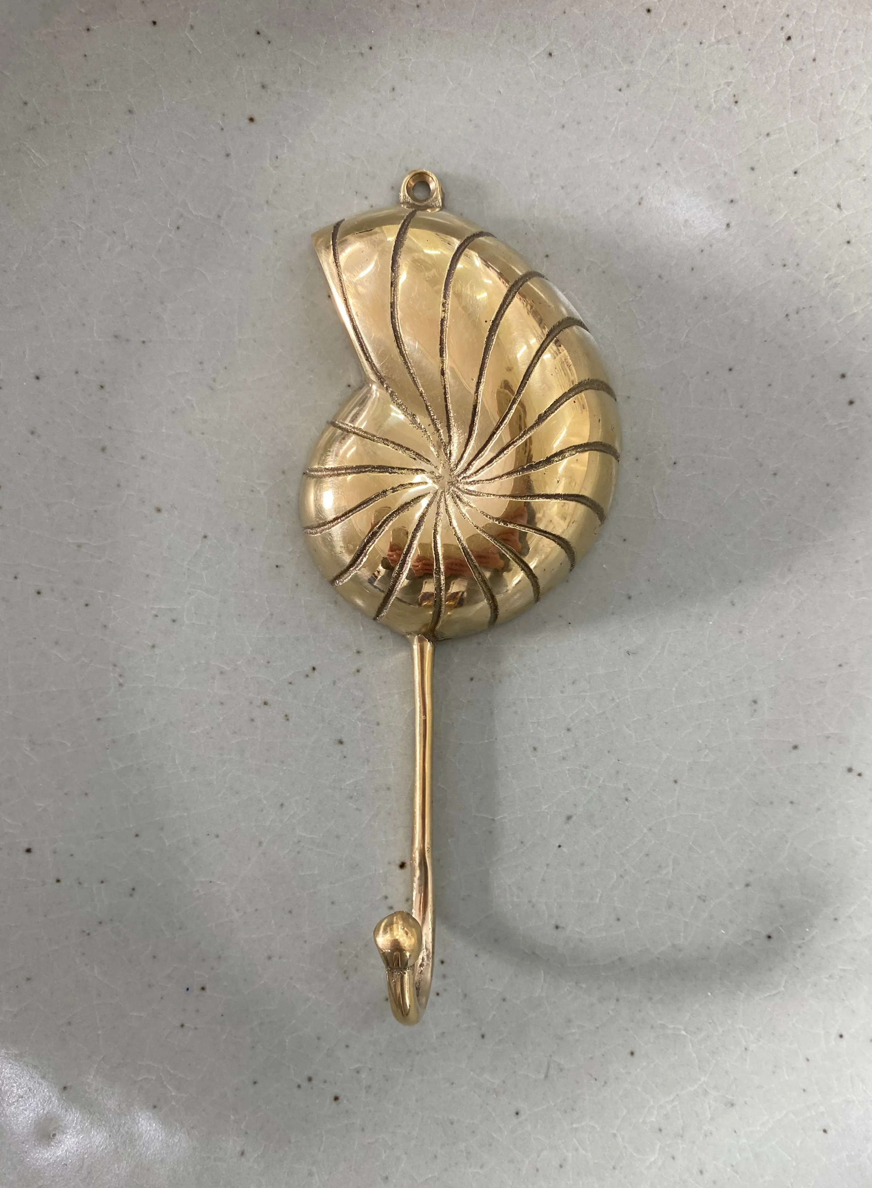 Brass Sea Shell Wall Hook