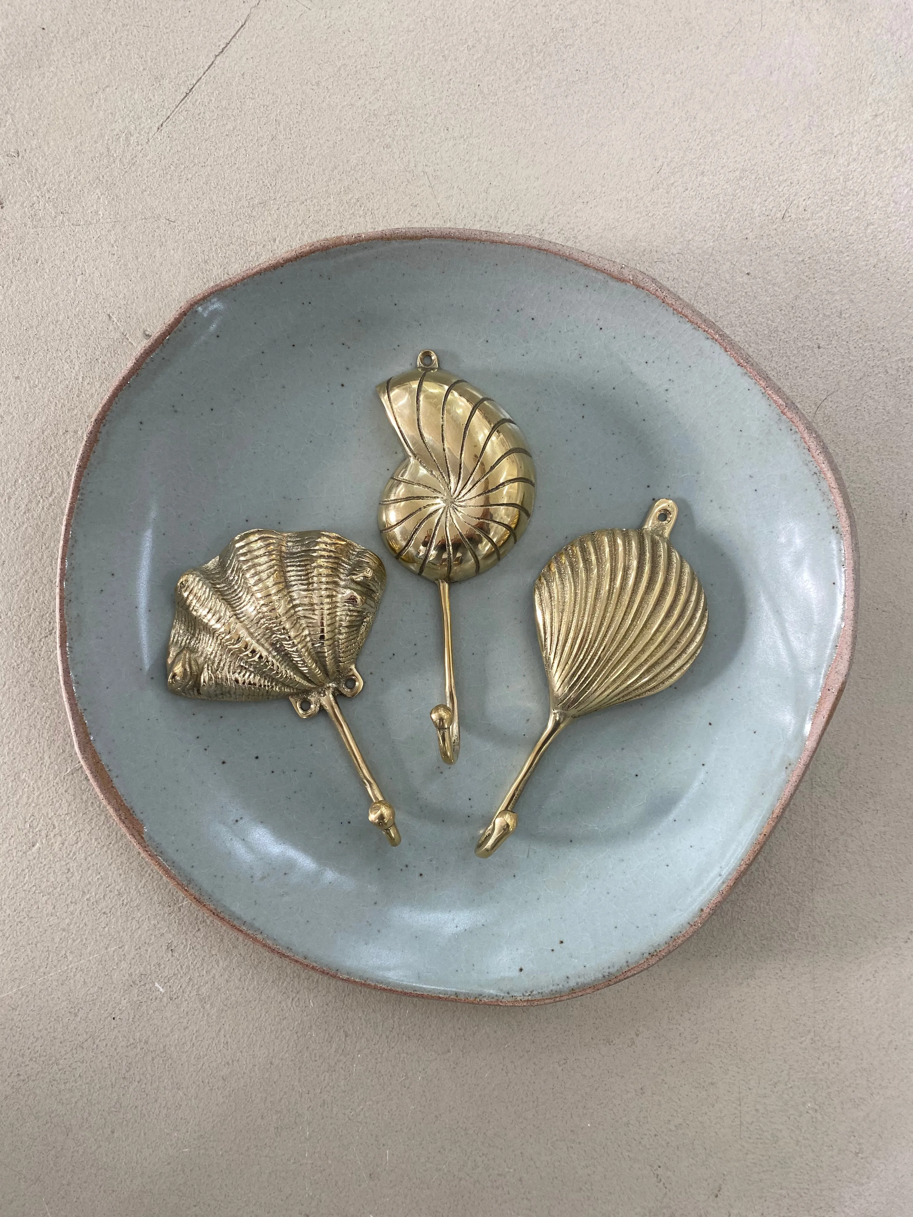 Brass Sea Shell Wall Hook