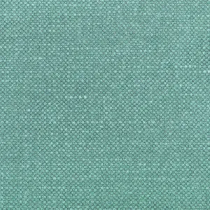 Carson-Spearmint