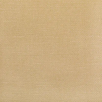 Carson-Tussah