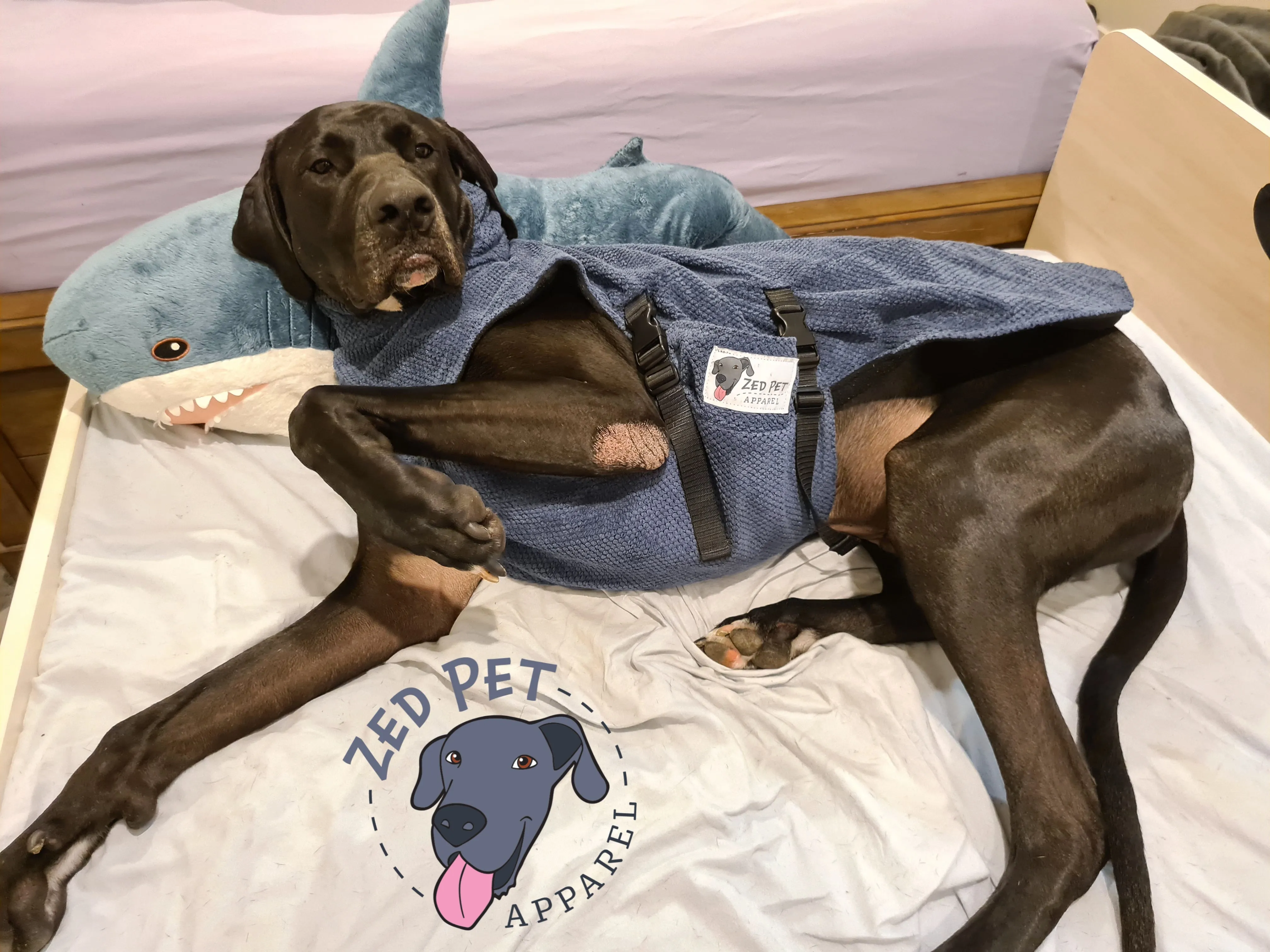 Dog Overcoat - XL (70 & 75cm)