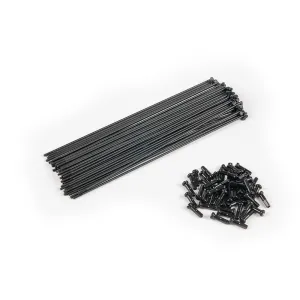 Eclat Stainless Spokes