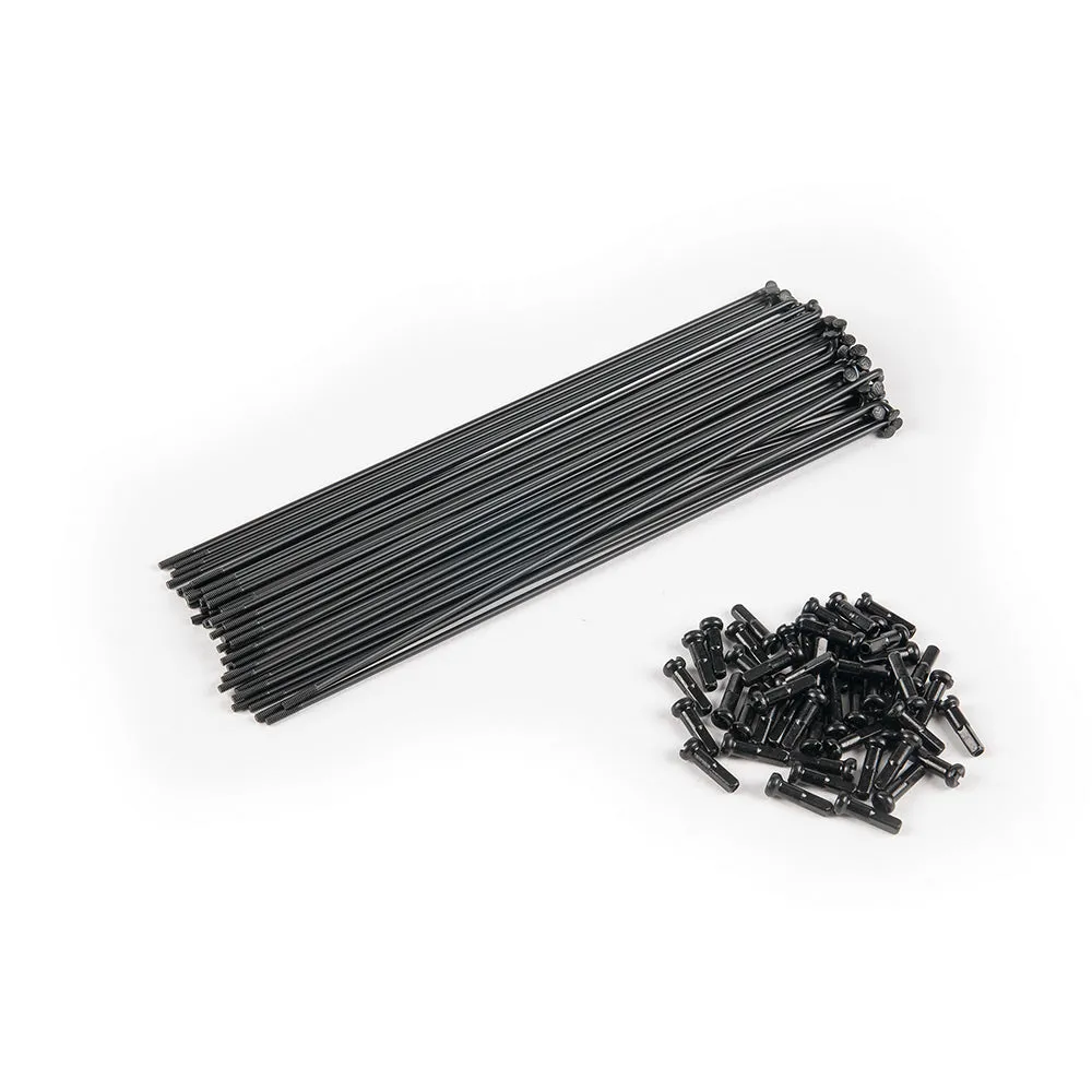 Eclat Stainless Spokes