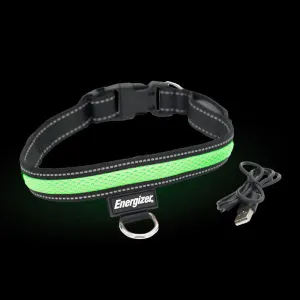 Energizer LED Dog Collar USB - Green Blaze