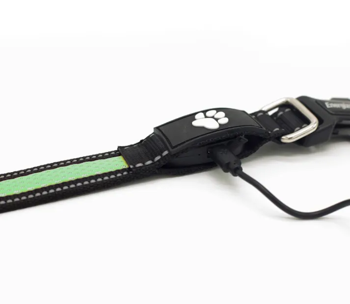 Energizer LED Dog Collar USB - Green Blaze
