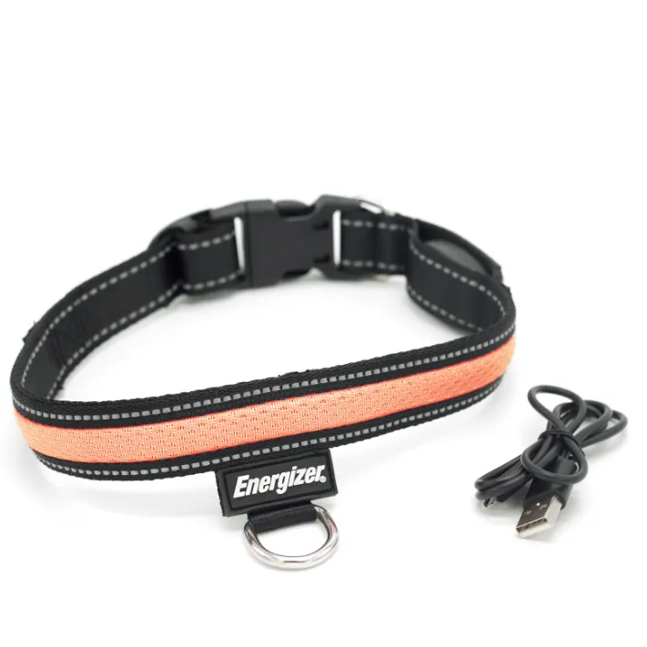 Energizer LED Dog Collar USB - Orange Blaze