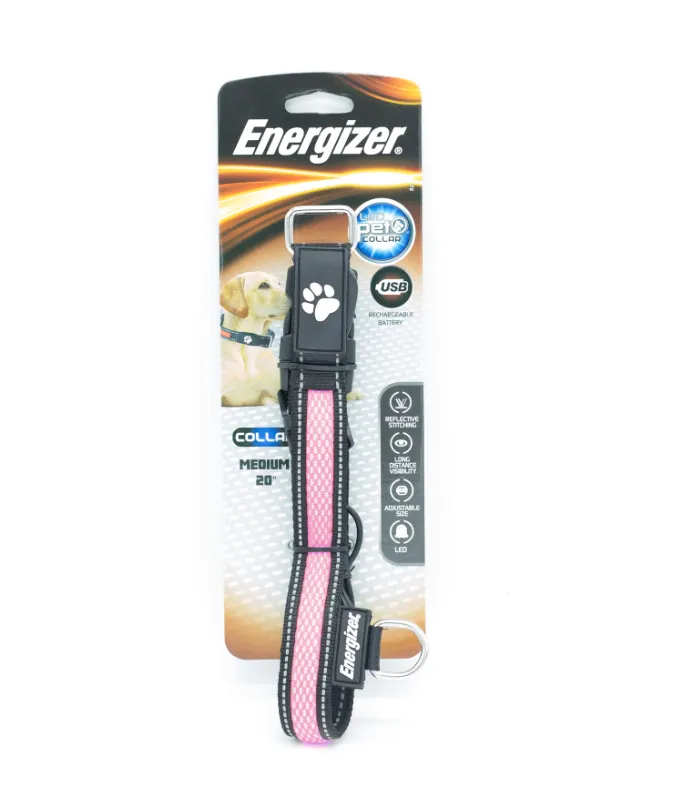 Energizer LED Dog Collar USB - Pink Blaze