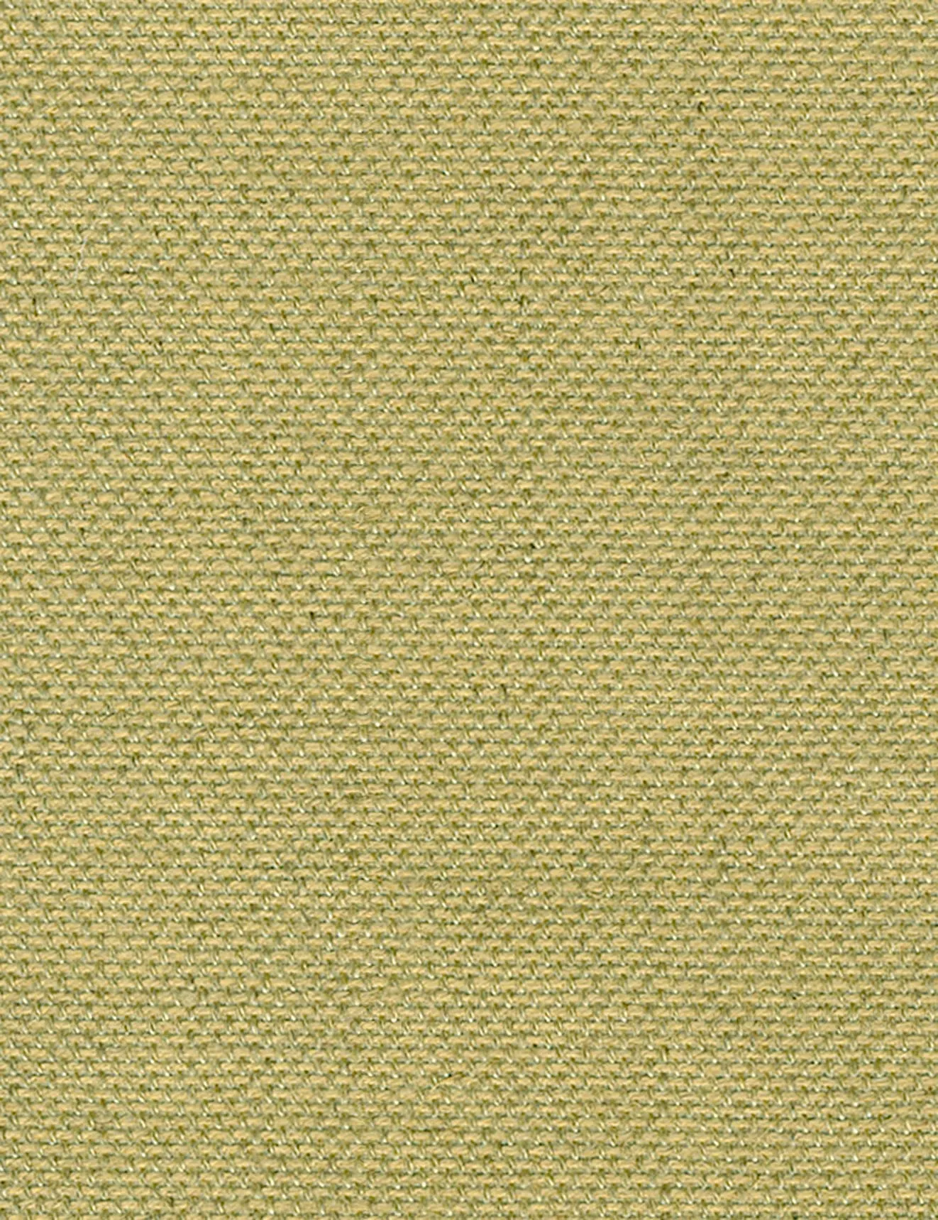 Fairway-palm frond