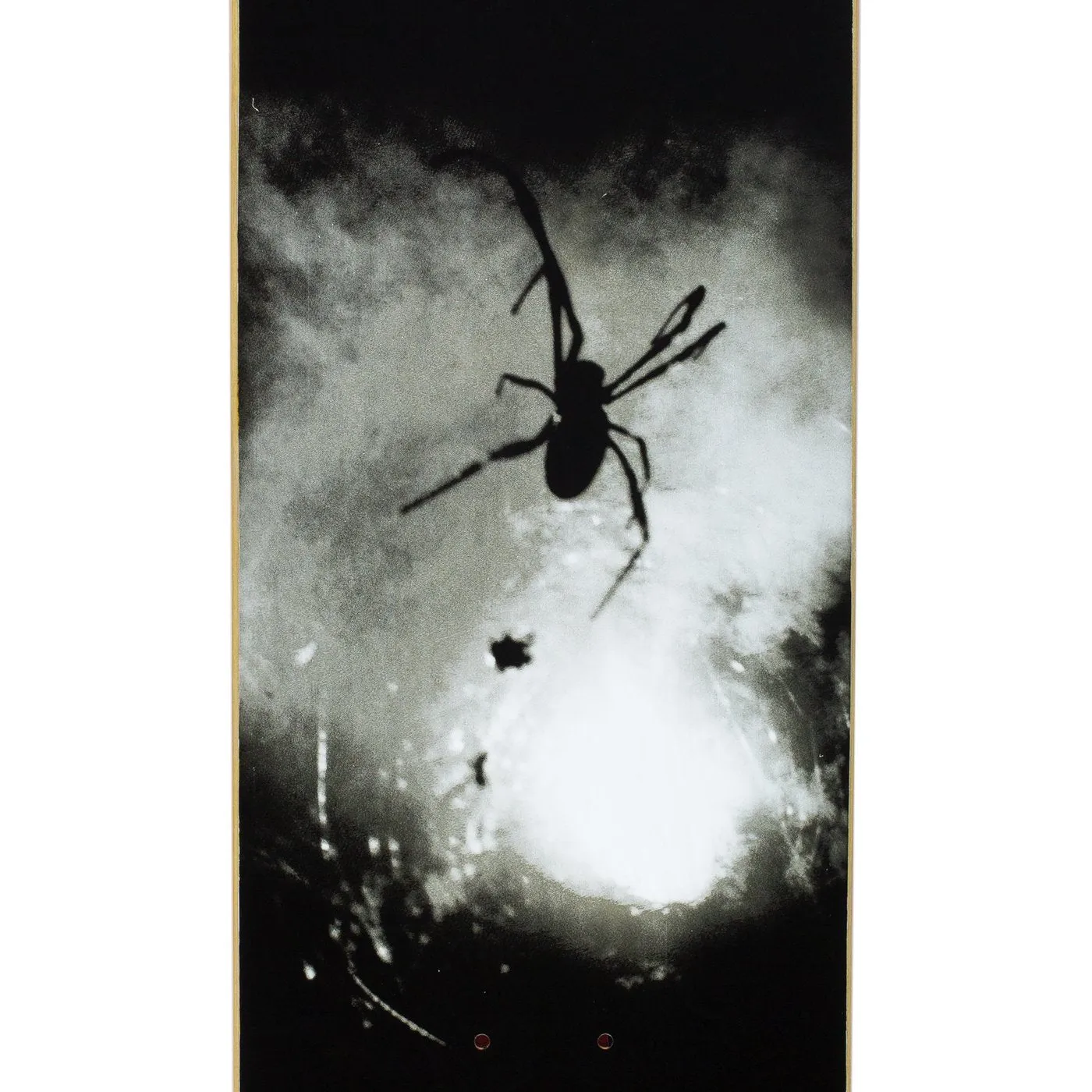 Fucking Awesome Spider Photo Skateboard Deck - 8.25