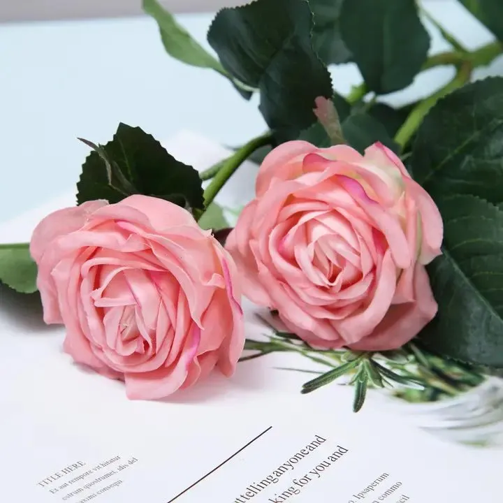 Garden Tea Rose
