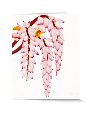 Greeting Cards - Shell Ginger