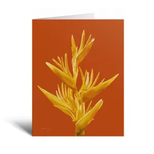 Greeting Cards - Welo