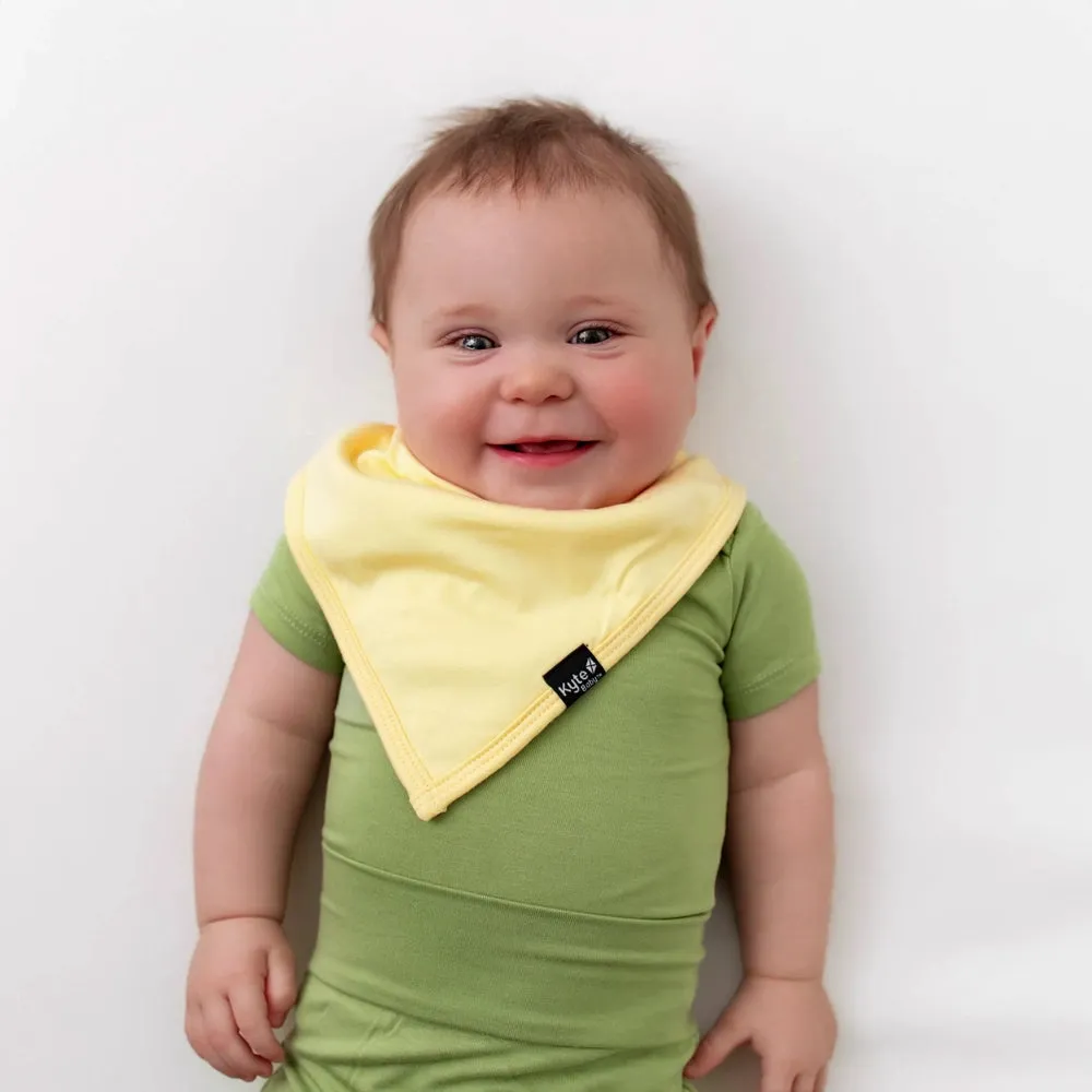 Kyte Baby Bib in Lilikoi