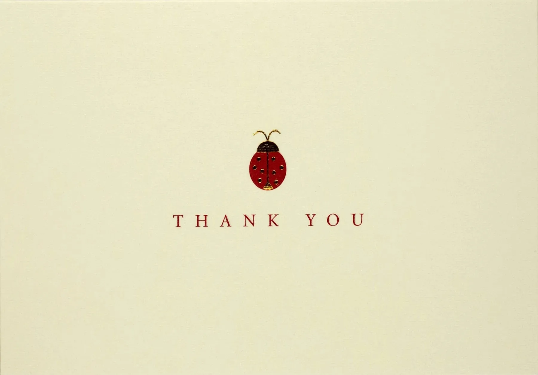 Ladybug Thank You Notes Set of 14