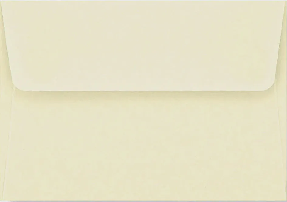 Ladybug Thank You Notes Set of 14