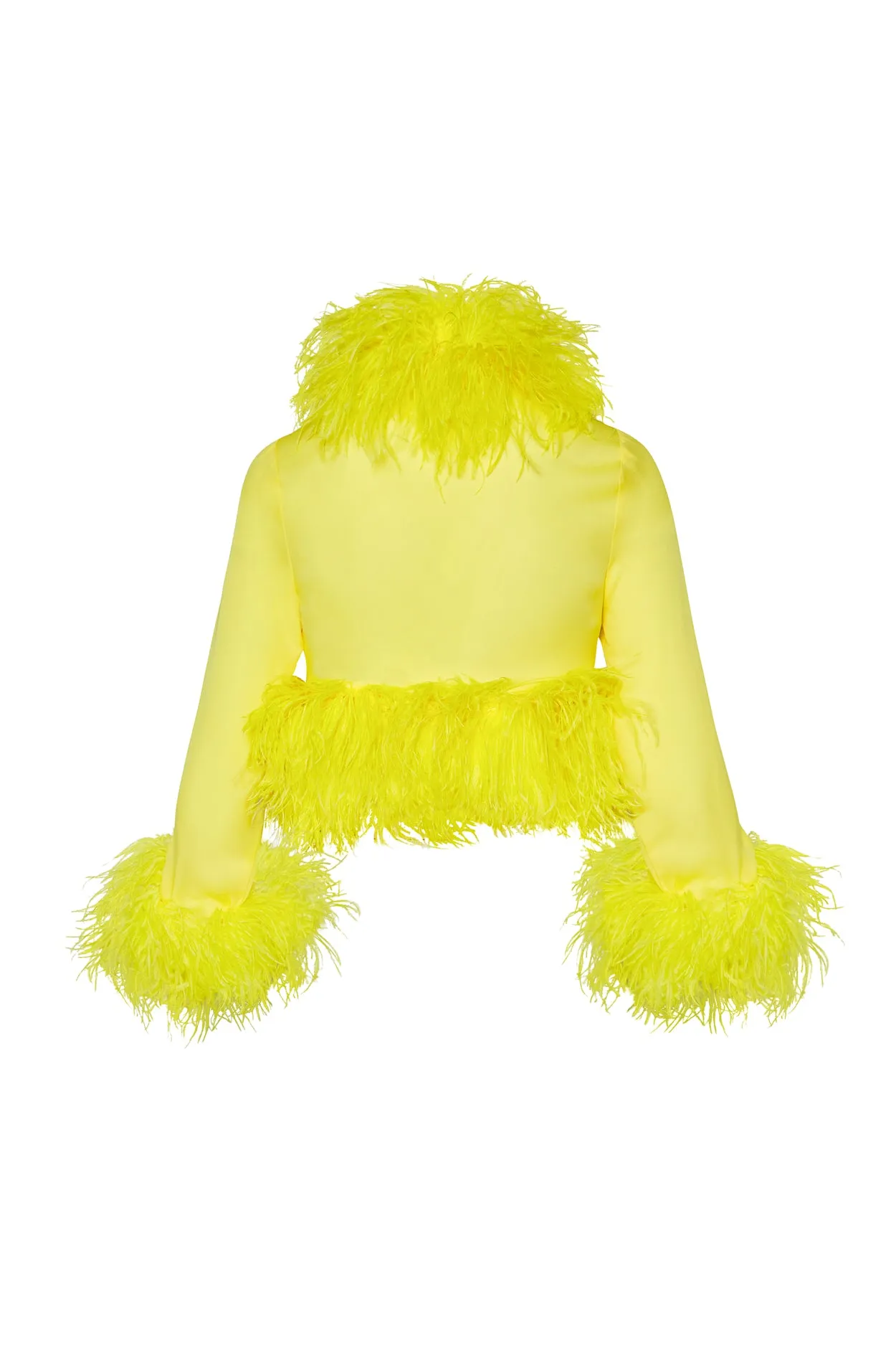 Lemon Foxy Blouse