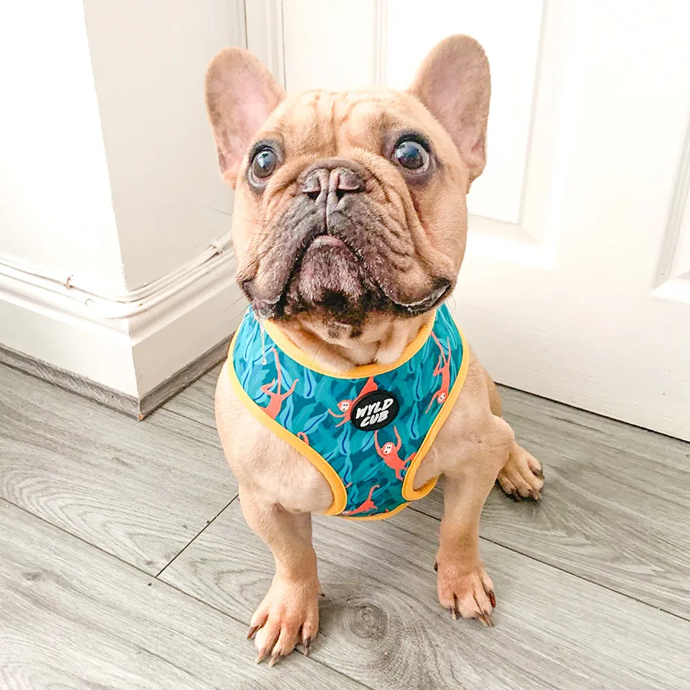 Let's go Banananas!: Dog Poop Bag Holder