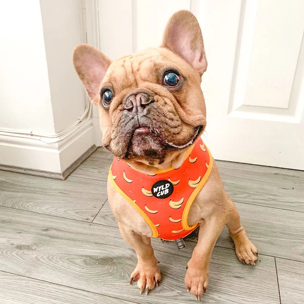Let's go Banananas!: Dog Poop Bag Holder