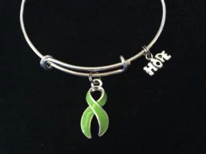 Lime Green Awareness Expandable Charm Bracelet Adjustable Bangle Expandable Bracelet Gift (Other Awareness Ribbons Available)