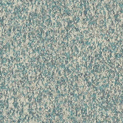 Logan-Teal