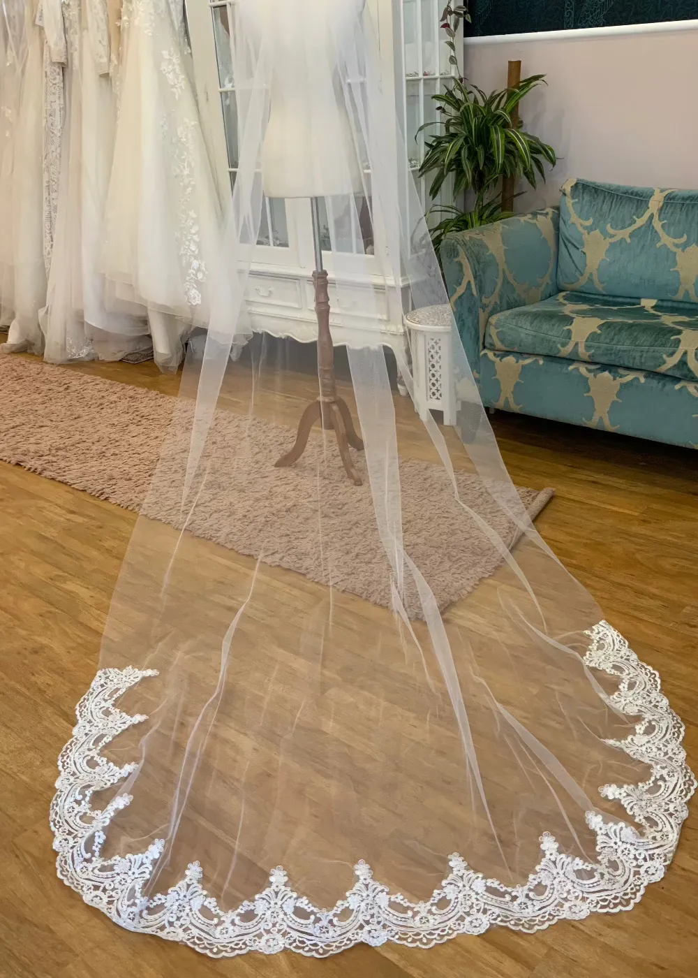 Luxurious scallop lace trim veil in white in 3 metre length Express NZ Wide