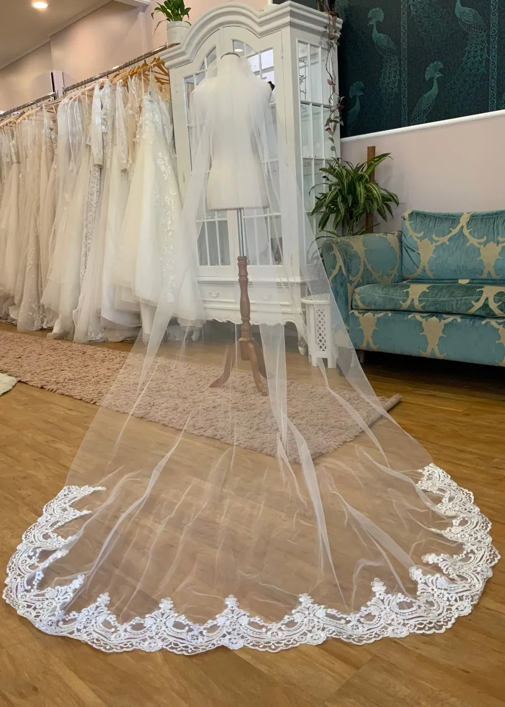 Luxurious scallop lace trim veil in white in 3 metre length Express NZ Wide