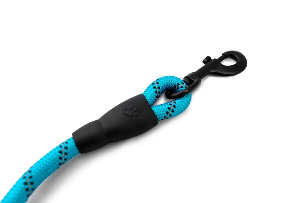 Navigator - Dog Leash Buddy