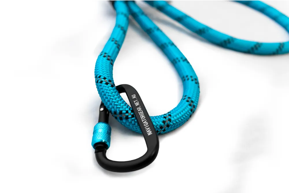 Navigator - Dog Leash Buddy