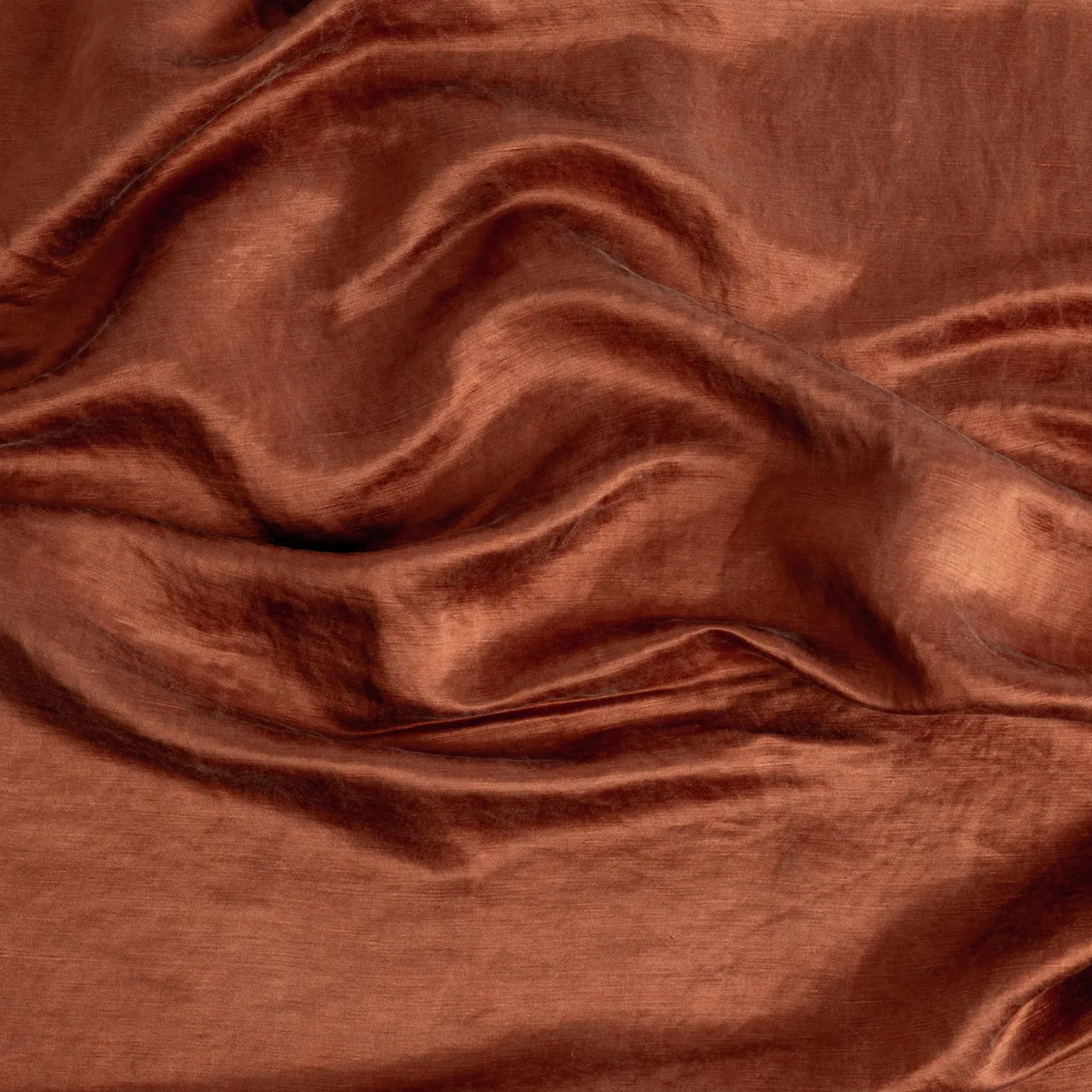 Paloma Throw Pillow