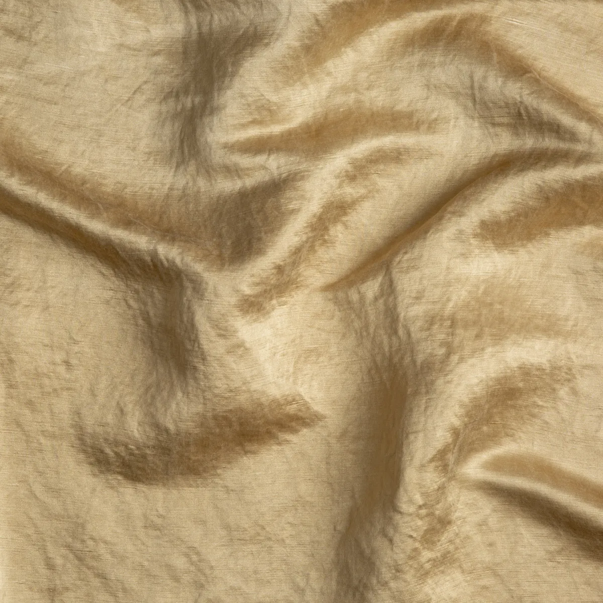 Paloma Throw Pillow