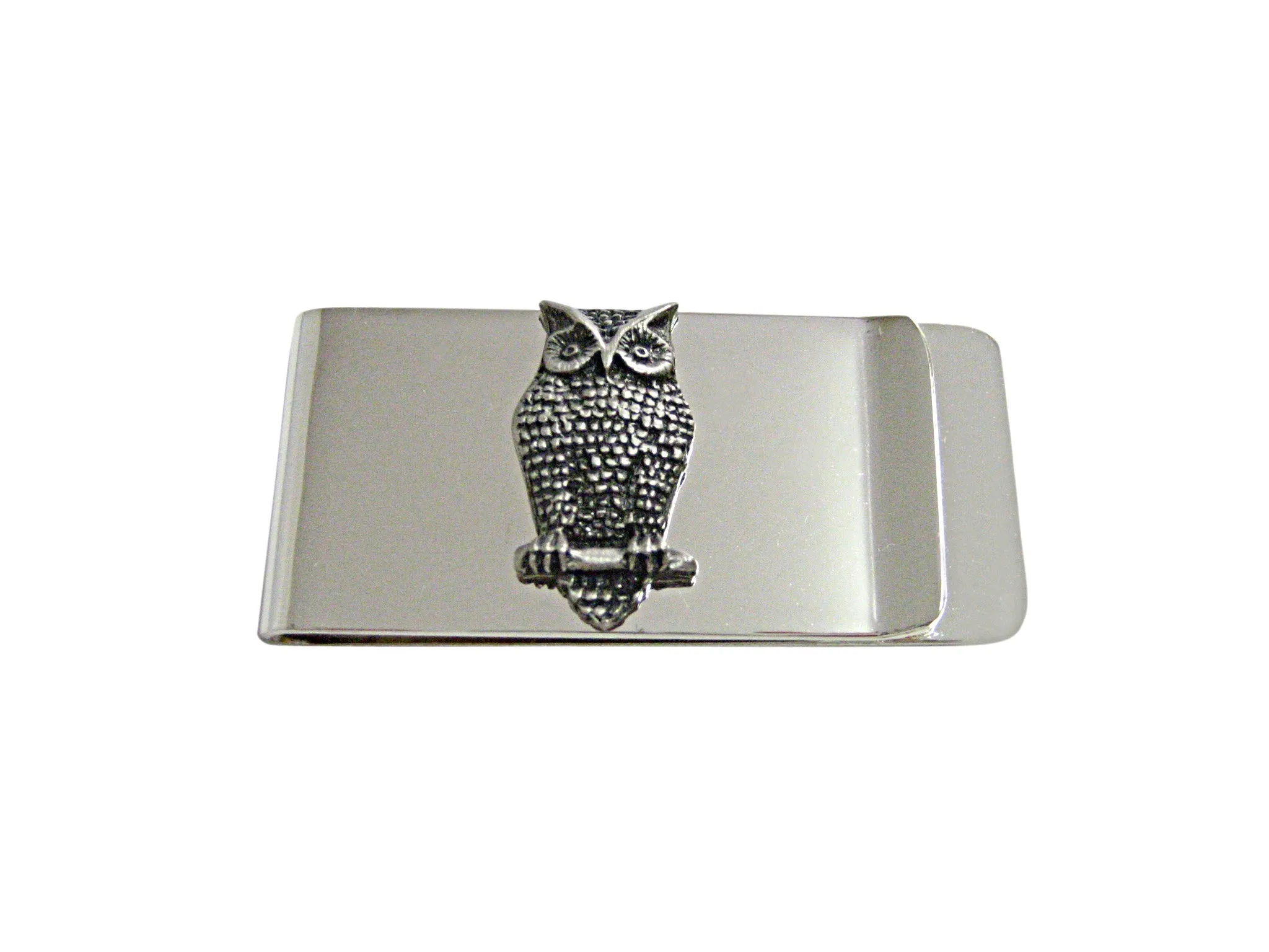 Perched Owl Bird Money Clip