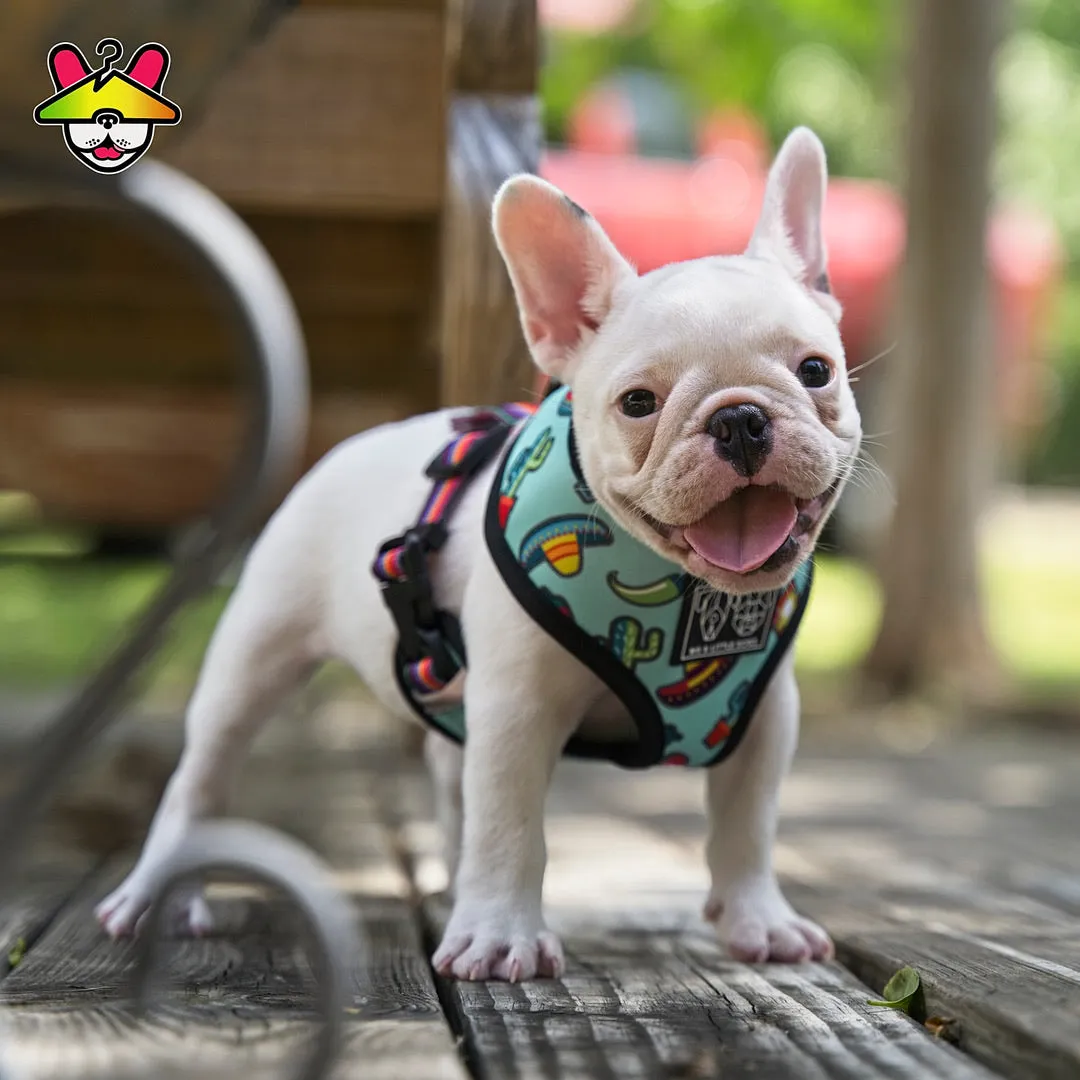 "Mexican Party" Reversible Harness