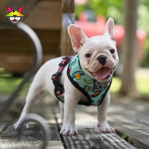 "Mexican Party" Reversible Harness