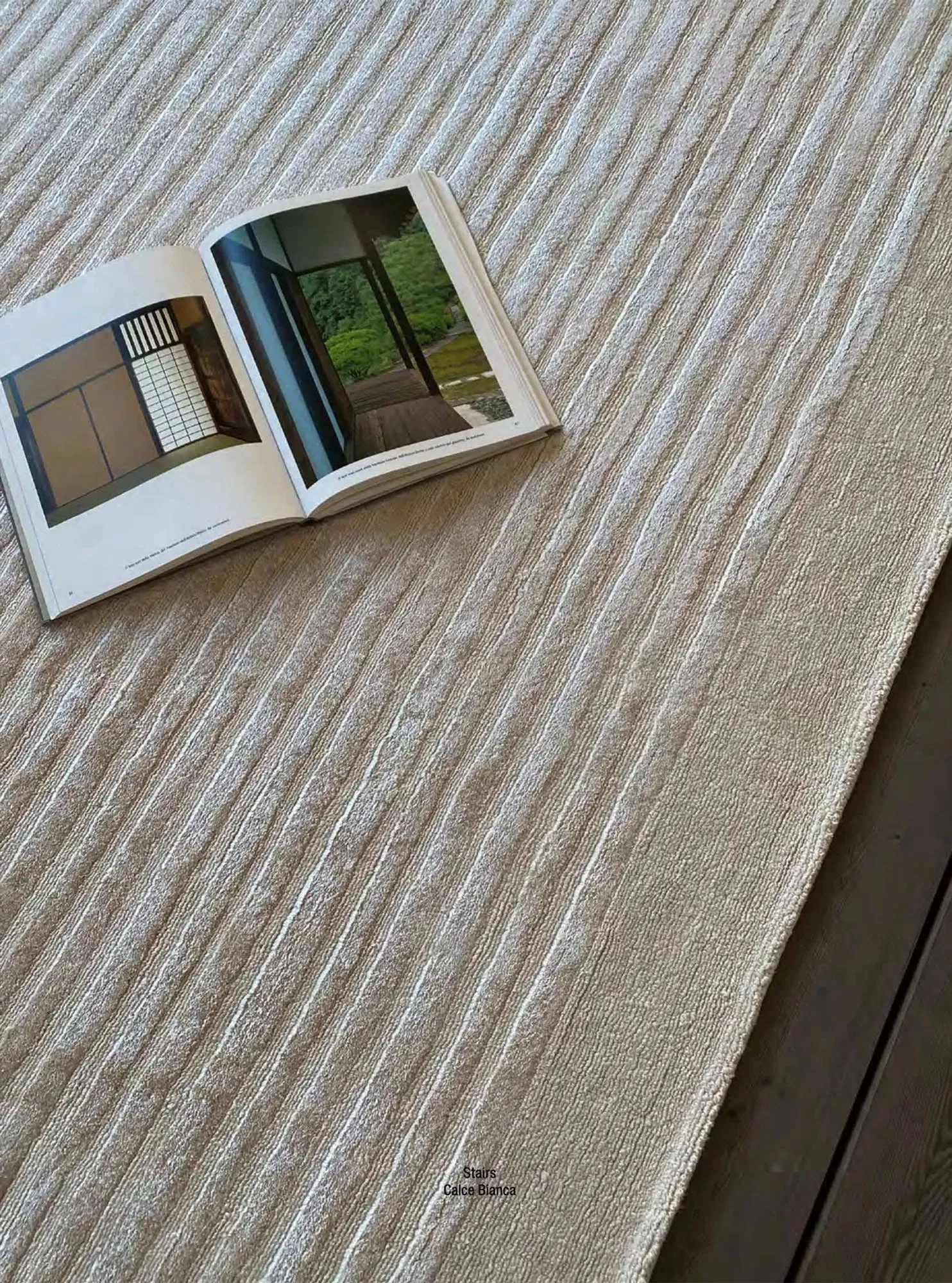 Stairs - Rug