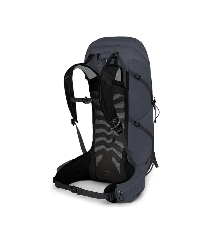Talon 36