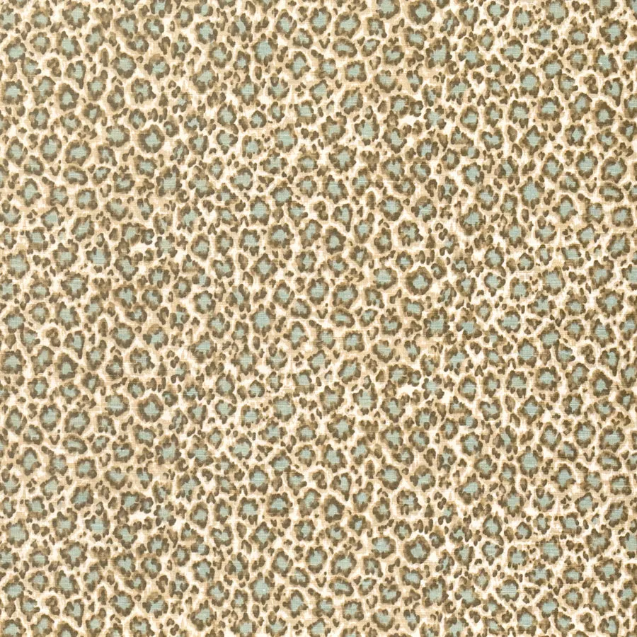 Tanzania - Aqua