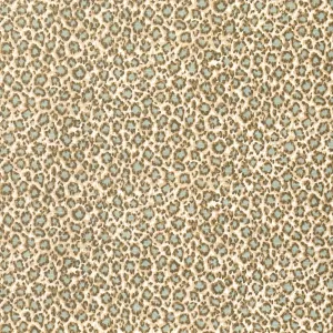 Tanzania - Aqua