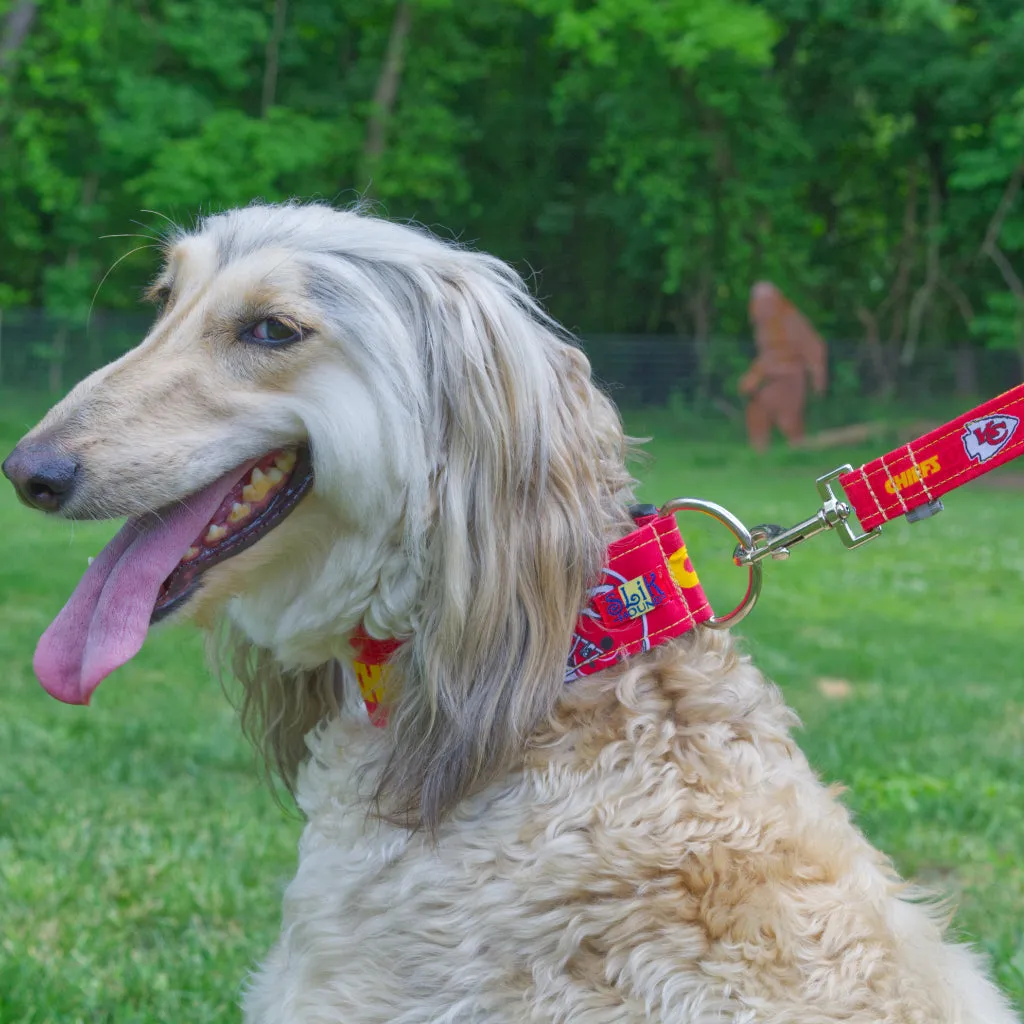 Team Themed Matching Leash