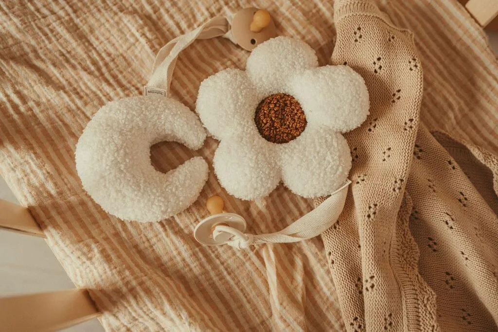 Teddy Pacifier Clip and Comforter