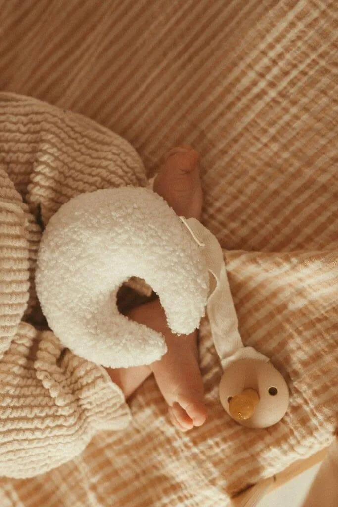 Teddy Pacifier Clip and Comforter