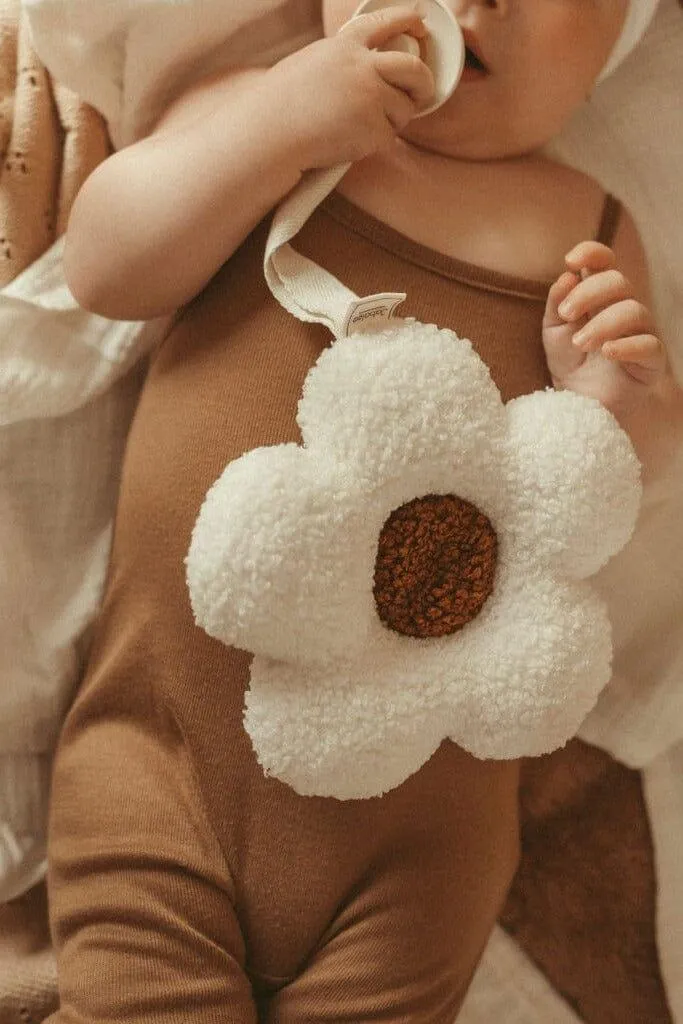 Teddy Pacifier Clip and Comforter