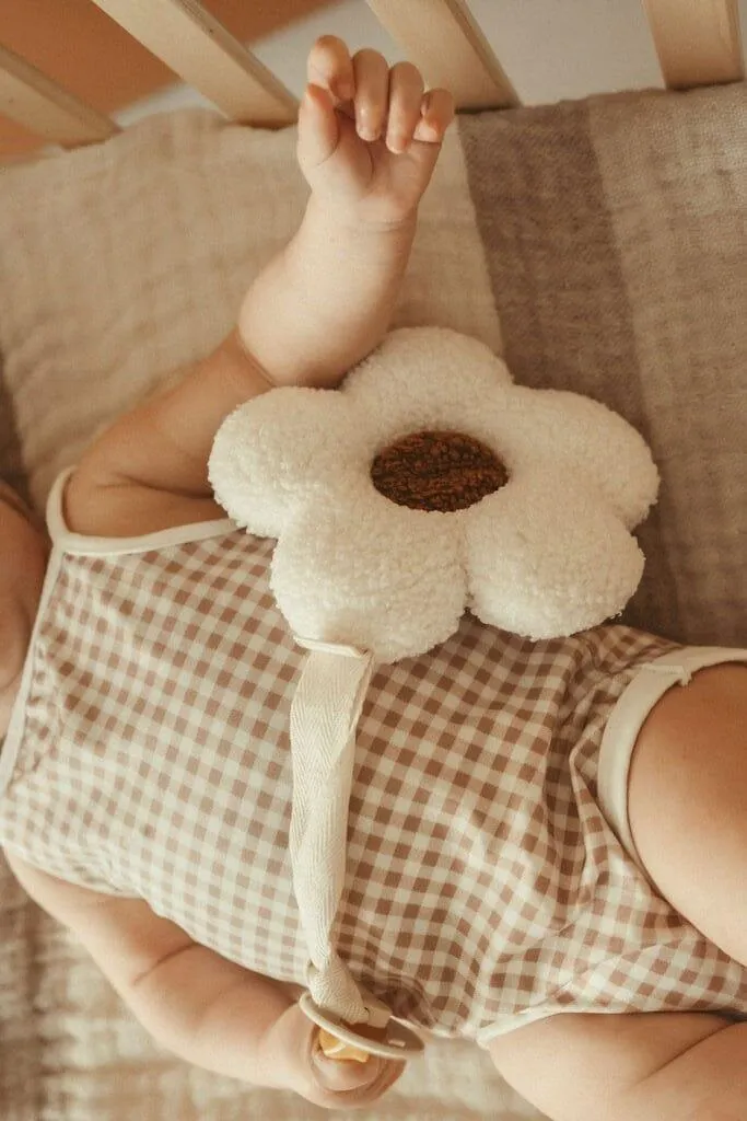 Teddy Pacifier Clip and Comforter